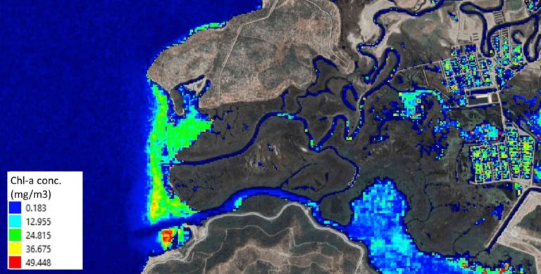 Algal blooms caused by nutrient overloading at aquafarms