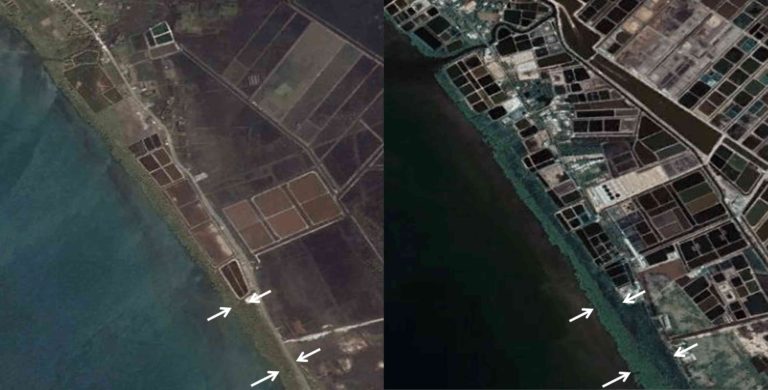 Social-impact analyses: assessing land use and land cover changes