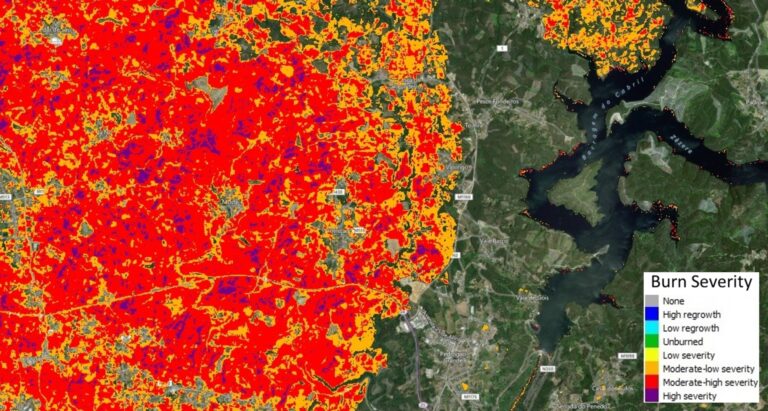 Burn severity mapping within the catchment area